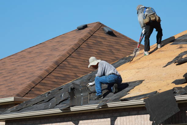 Best Gutter Installation and Repair  in Lexico, CA